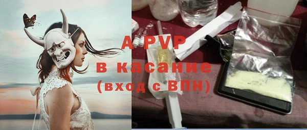 крисы Новодвинск