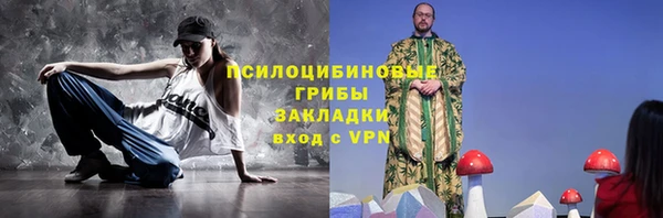 хмурый Алзамай