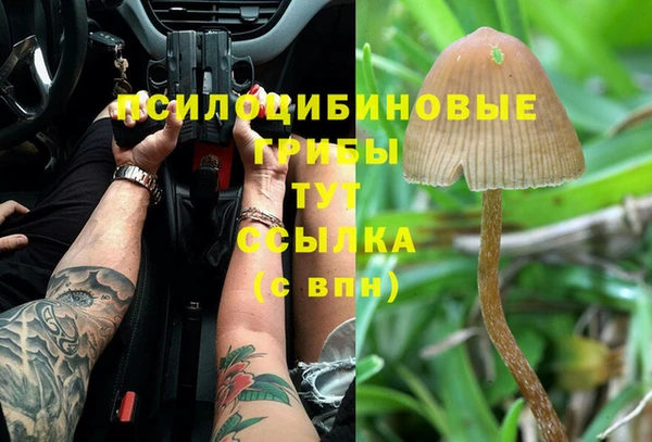 хмурый Алзамай