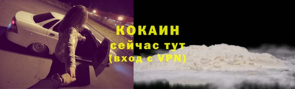 трава Абаза