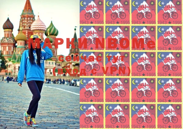 хмурый Алзамай