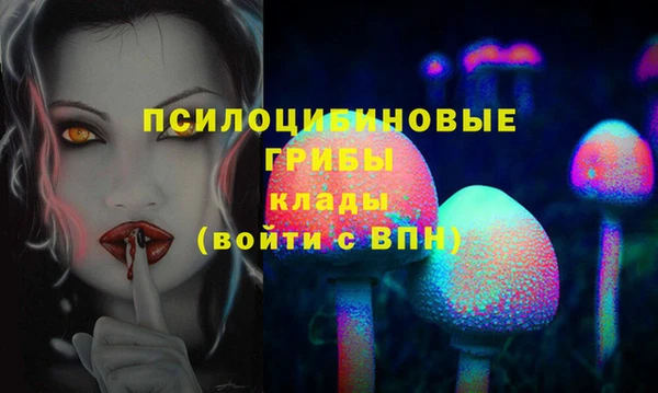 дурь Алексеевка
