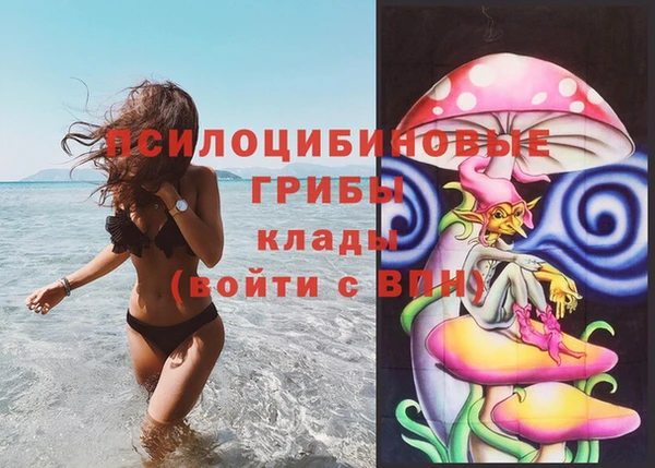 дурь Алексеевка
