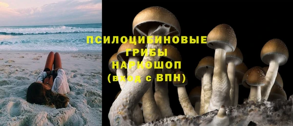 хмурый Алзамай
